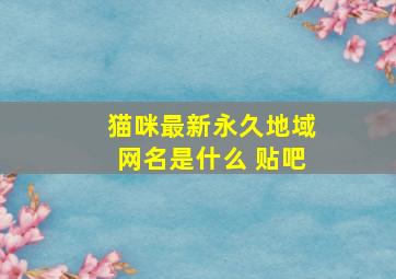 猫咪最新永久地域网名是什么 贴吧